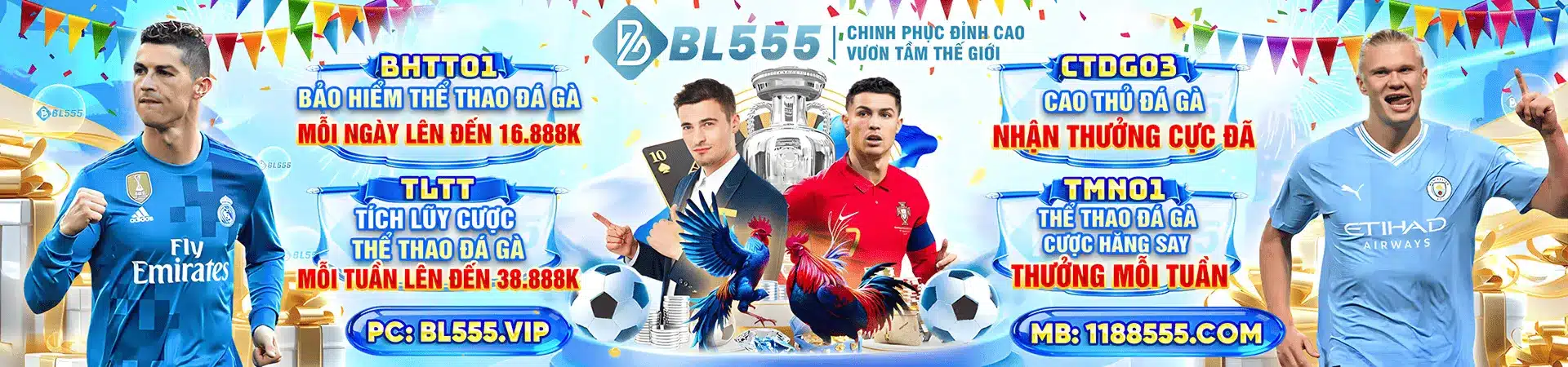 banner bl555 mới 2026